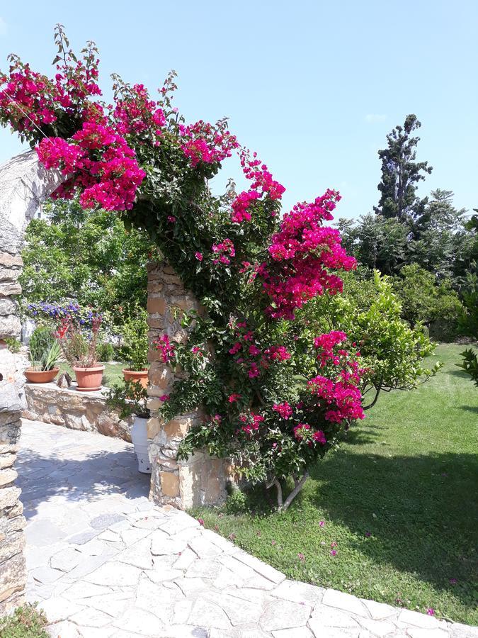 Garden Rooms Pirgos Psilonerou Экстерьер фото